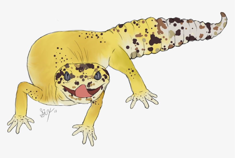 Loki The Leopard Gecko - Dibujos De Geckos Leopardos, transparent png download