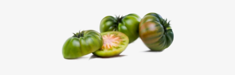 The Cooperative - Bush Tomato, transparent png download