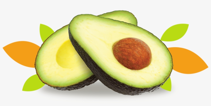 Hueso De Aguacate - Avocado, transparent png download