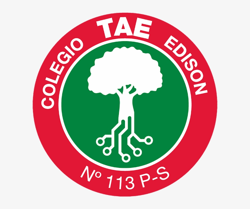 Twitter Logo Circular - Colegio Tomas Alva Edison, transparent png download