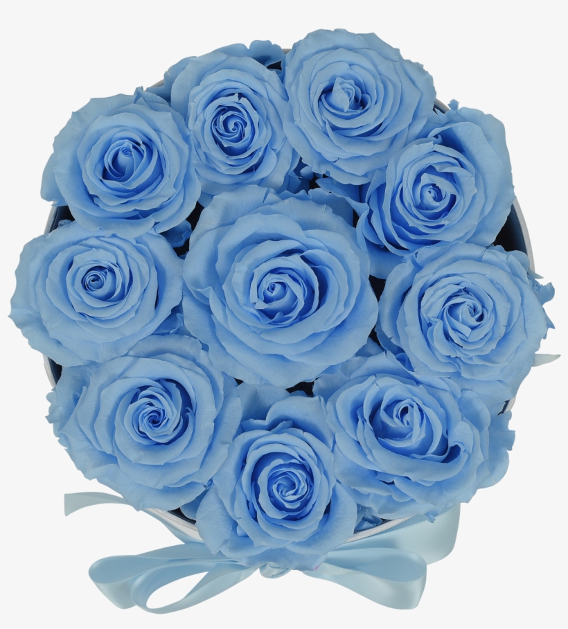 Orb Original Baby Blue Roses - Blue Rose, transparent png download