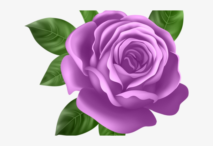 Transparent Background Purple Rose Clipart, transparent png download