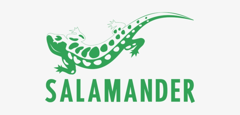 Vector Salamander, transparent png download