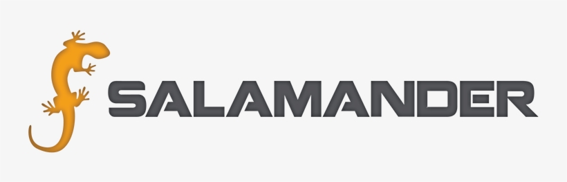 Salamander Em Solutions - Northern Seahorse, transparent png download