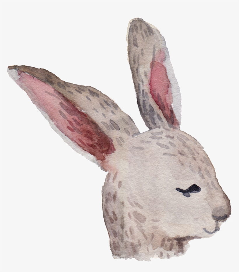 Cartoon Rabbit Png - Domestic Rabbit, transparent png download