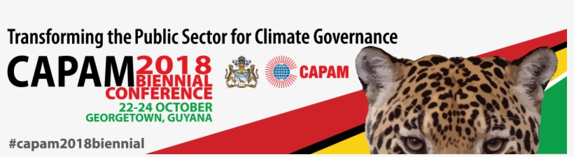 Flag Of The United States, transparent png download