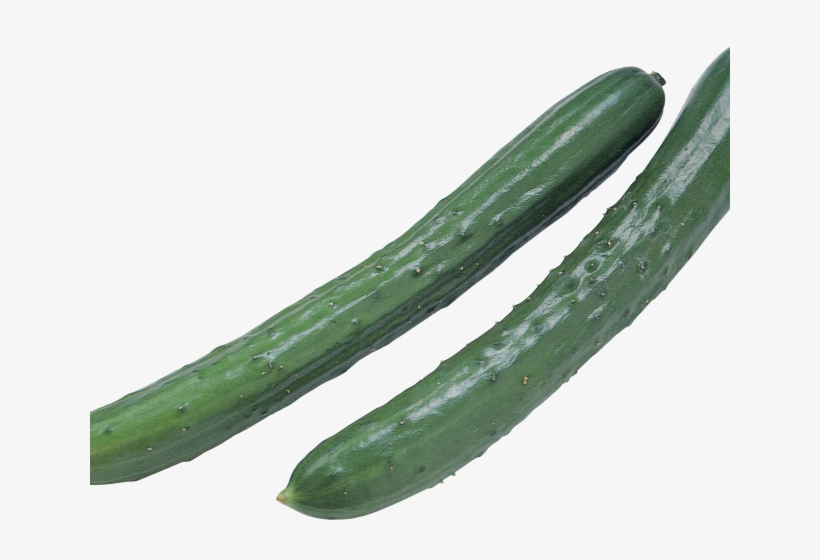 Zucchini Clipart Pipino - Cucumber, transparent png download