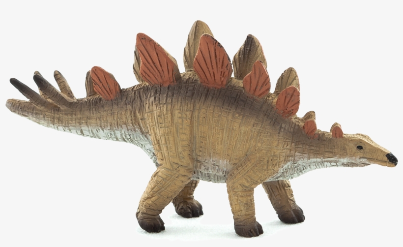Stegosaurus, transparent png download