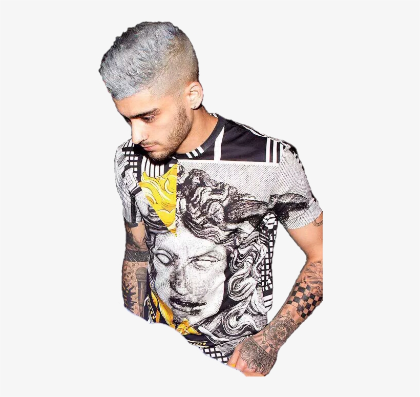 Skynouis, Instagram - Zayn Silver Hair, transparent png download