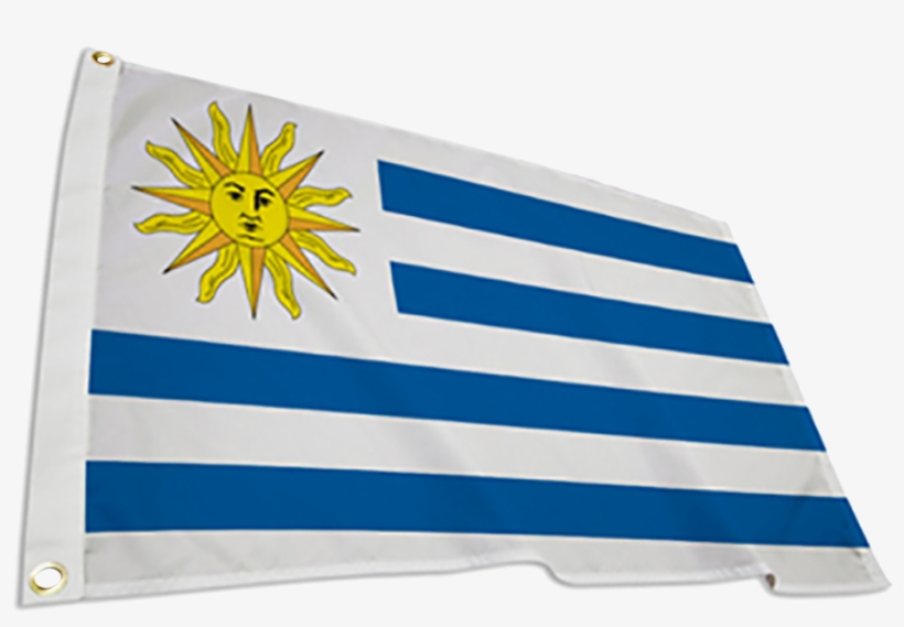 Uruguay International Flag - Flag, transparent png download