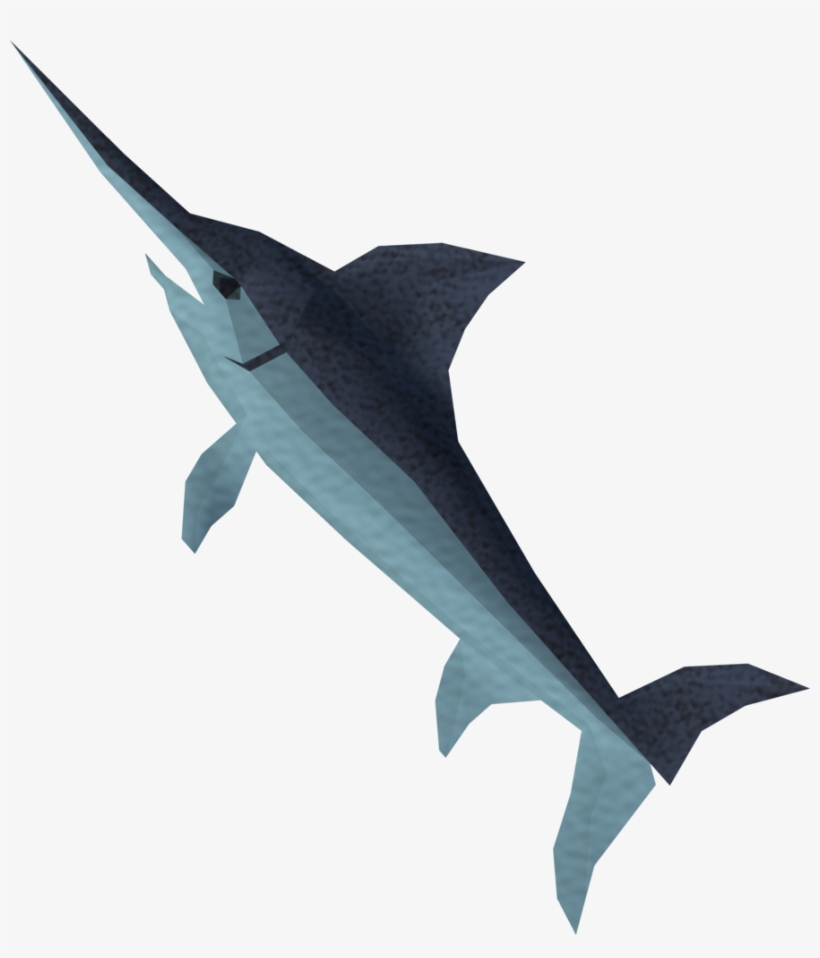 Swordfish Detail - Atlantic Blue Marlin, transparent png download
