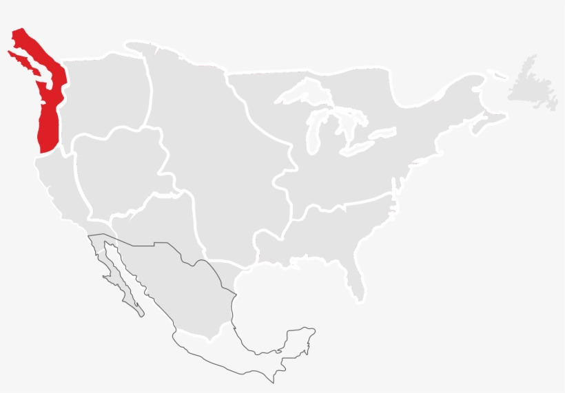 Lifecycle Stage - Latin American Social Sciences Institute, transparent png download