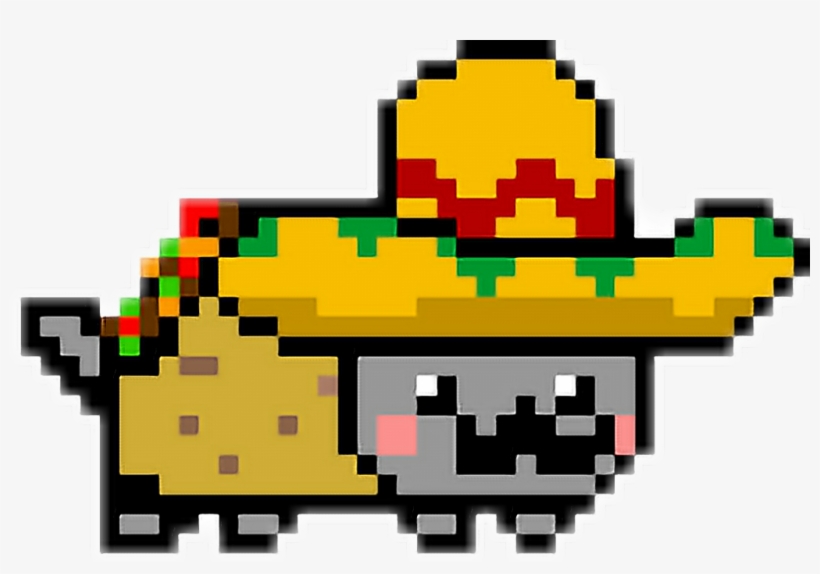 Report Abuse - Nya Cat, transparent png download