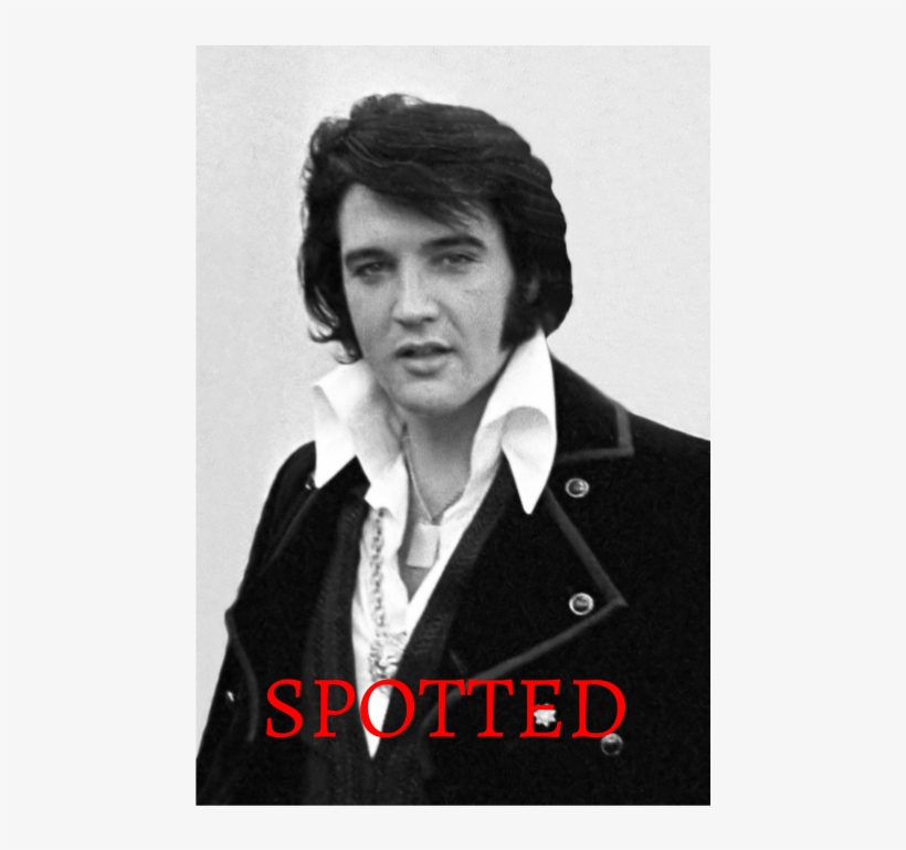 New World University Faked His Death Nyu - Elvis Presley For Kids, transparent png download