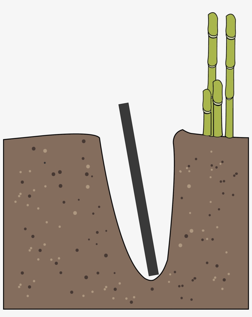 Insert Bamboo Shieldplace The Barrier Into The Dug - Illustration, transparent png download