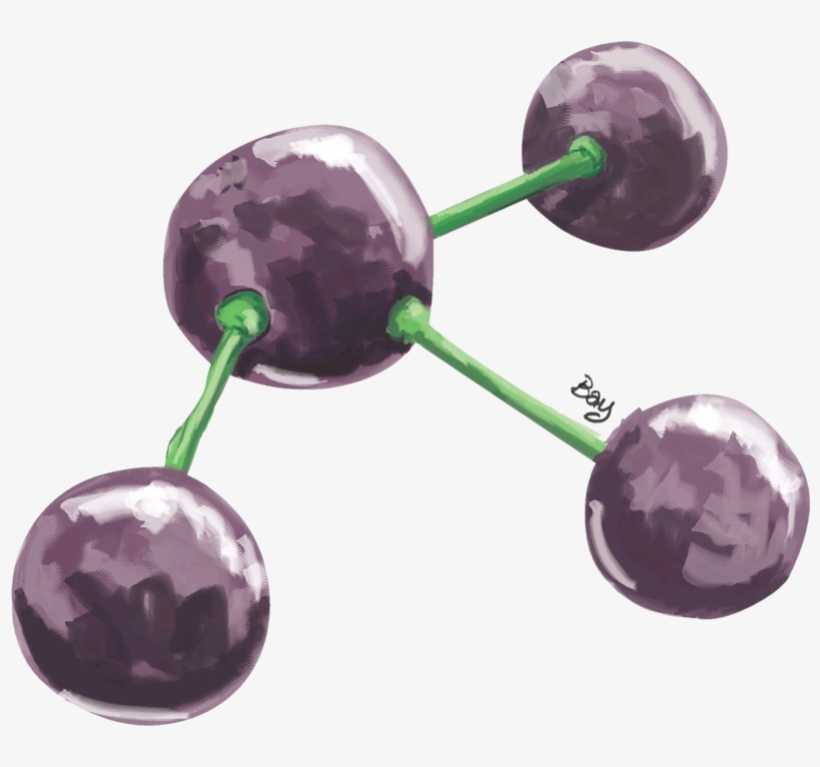 Everything You Need To Know About Organic, Biodynamic - Earrings, transparent png download