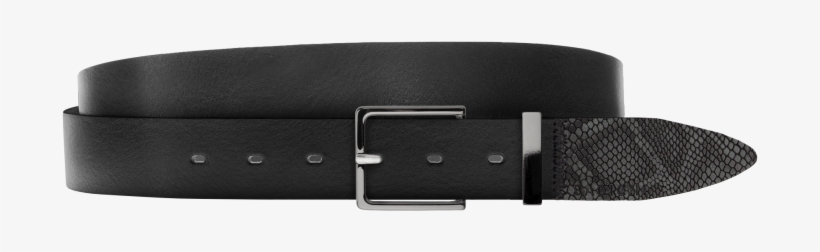 Buckle, transparent png download