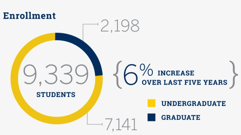 Graph Depicting Breakdown Of Students From Undergraduate - Circle, transparent png download
