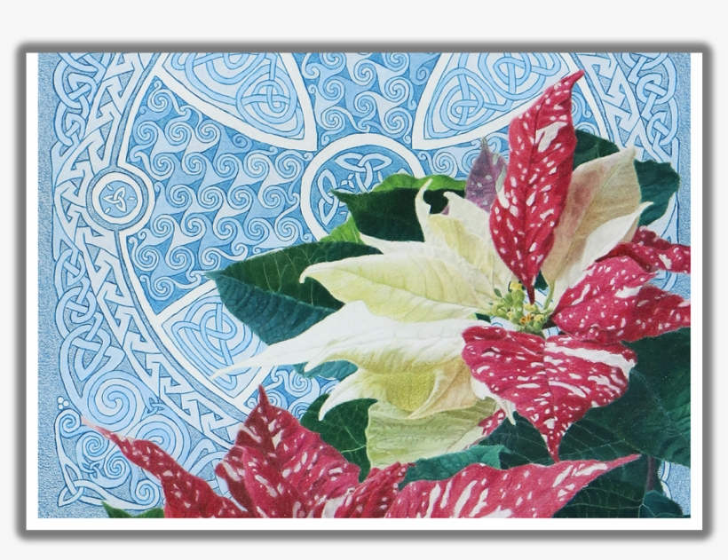 Good Tidings Of Great Joy Poinsettia Christmas Card - Anthurium, transparent png download