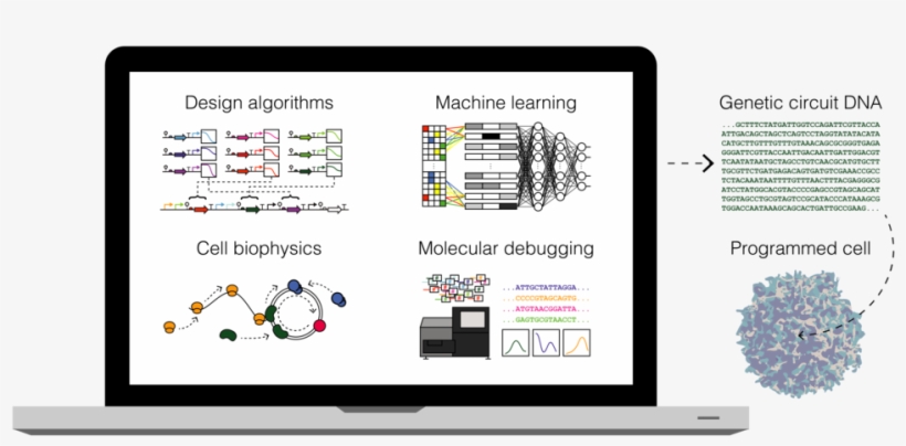 Main Image V4-01 - Diagram, transparent png download