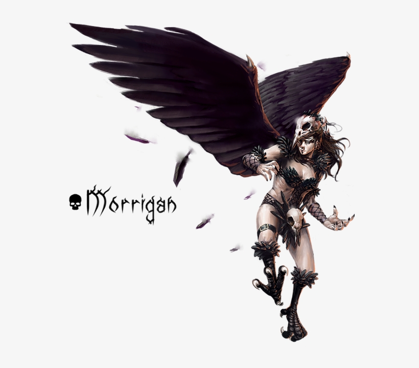 Tier - Eagle, transparent png download