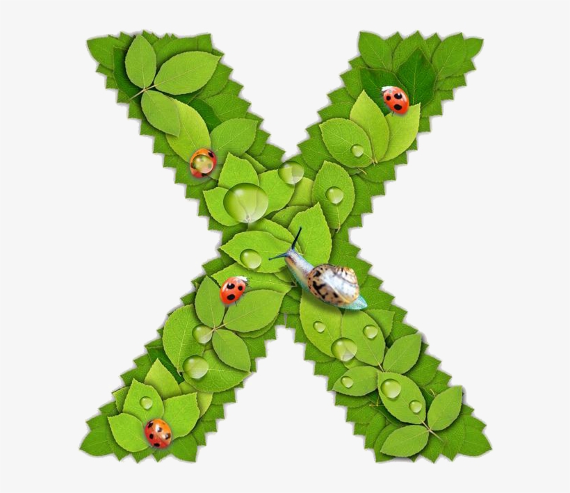 Https - //www - Freepngs - Com/ - Christmas Tree, transparent png download