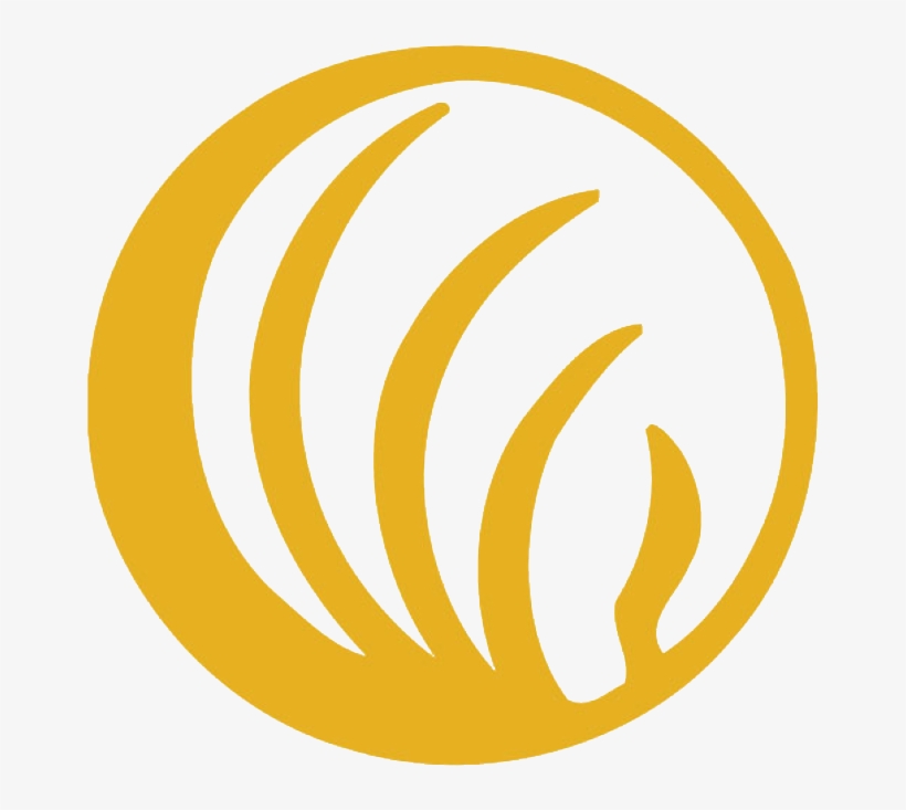 Nami Is Pleased To Release A New Report Titled “engagement - National Alliance On Mental Illness, transparent png download