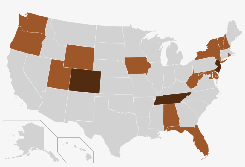 Merlin Miller Ballot Access - States Allow Lgbt Adoption, transparent png download