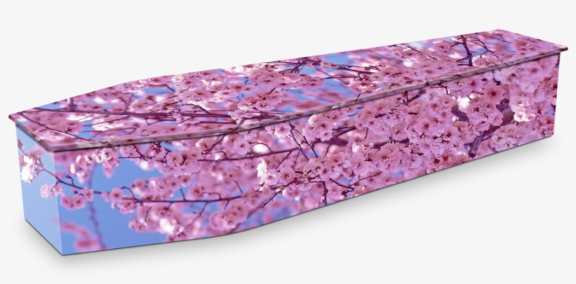 Coffin Image - " - Coffin Pink, transparent png download