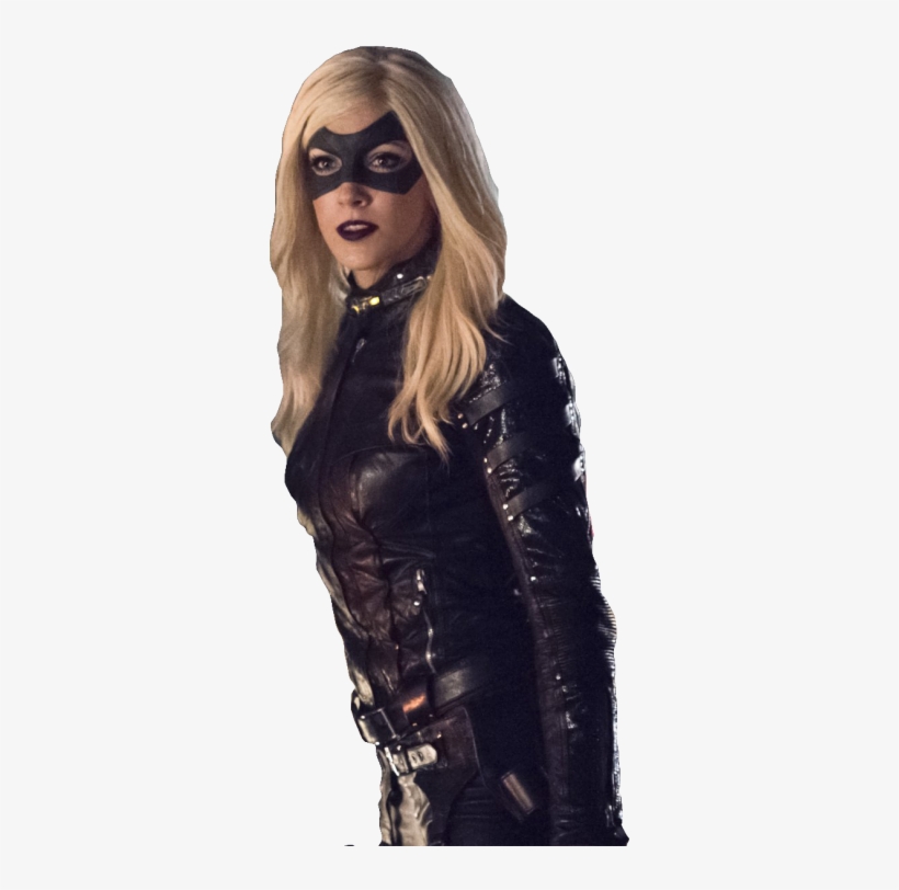 Png Canário Negro - Dc Comics Black Canary Transparent, transparent png download