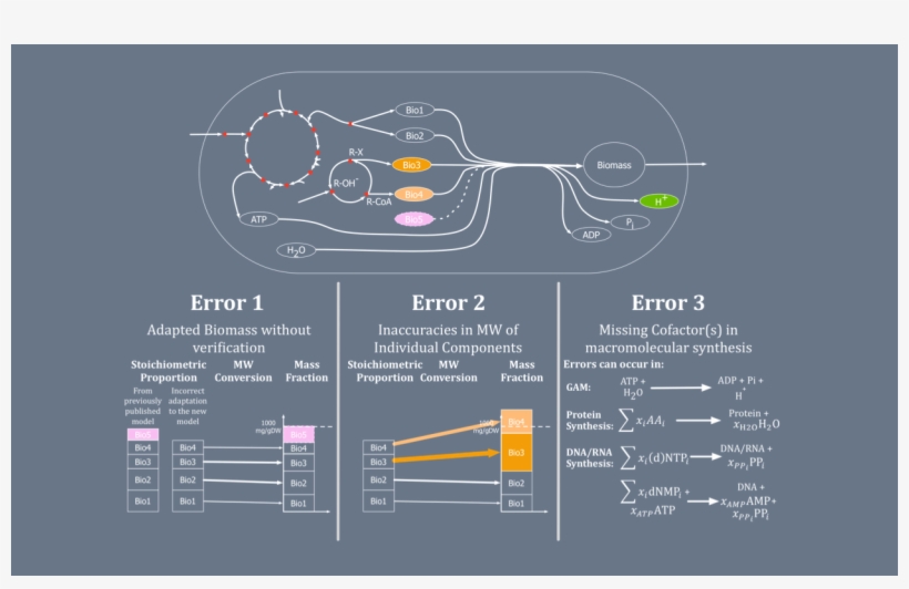 Biomass Standardization Algorithm - Diagram, transparent png download