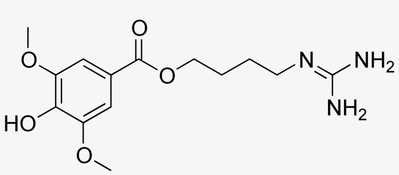 Leonurine Structure - 2 Hydroxy 3 Nitrobenzoic Acid, transparent png download