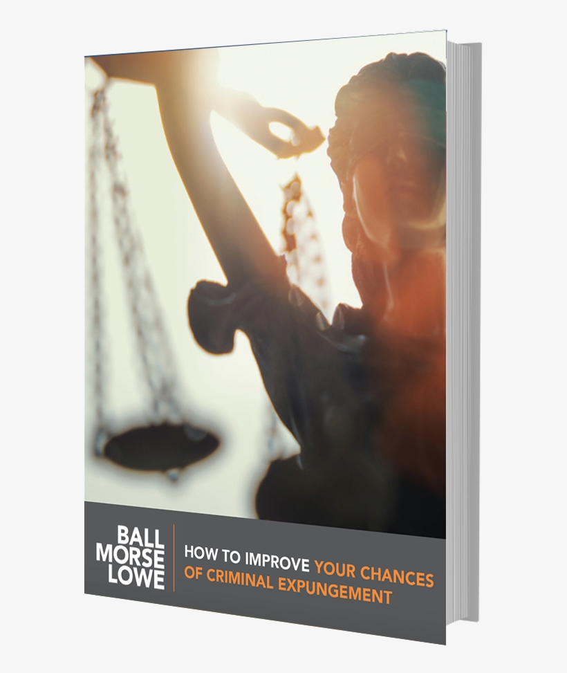 Bml 3dbook - Criminal Justice Future, transparent png download