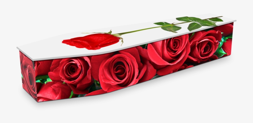 Red Roses - Red Coffins, transparent png download