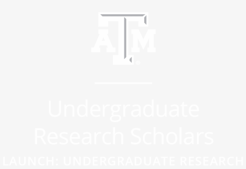 Png/pdf/jpg - Texas A&m University, transparent png download