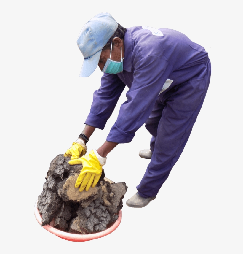 Medical Assistant, transparent png download