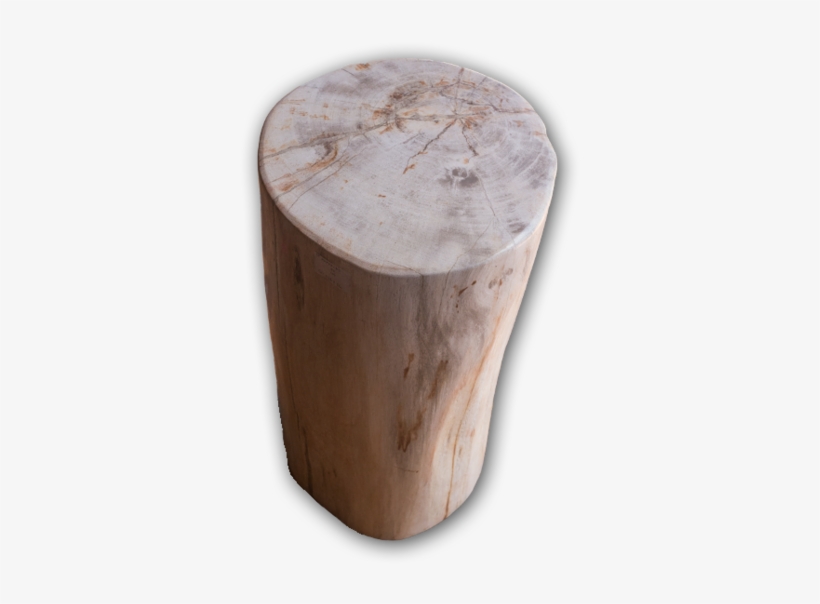 Petrified Wood Log Stool Pf-2105, transparent png download