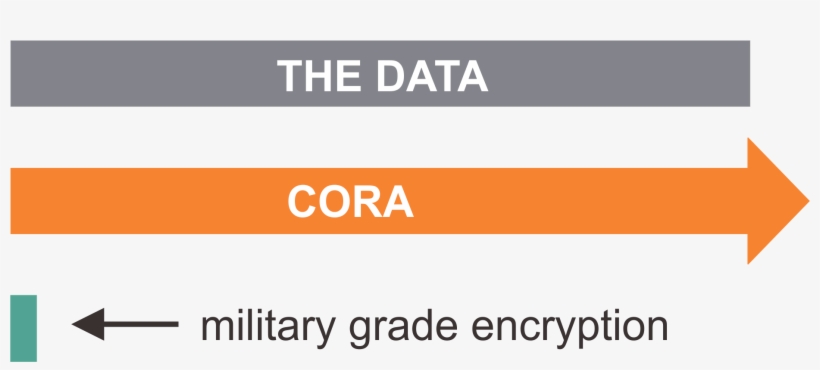 How Does This Compare To Cora - Parallel, transparent png download
