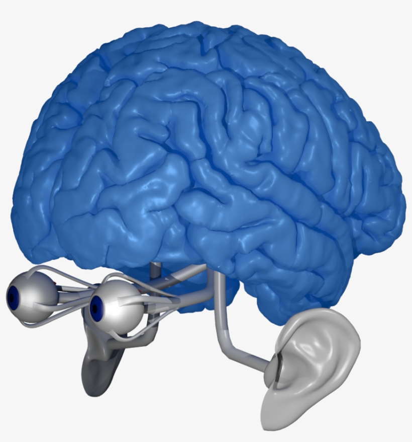 What Is Ride Your Mind - Illustration, transparent png download