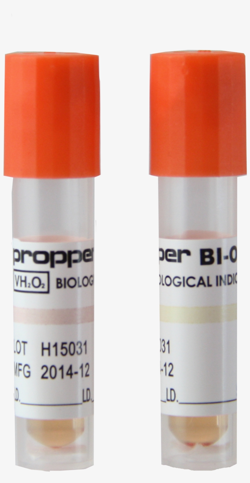 Bi-o - K - ® - Lip Gloss, transparent png download