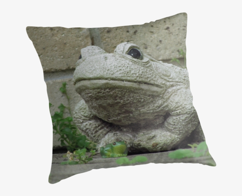 Froggy Gets A Girlfriend ~ By Donna Keevers - Cushion, transparent png download