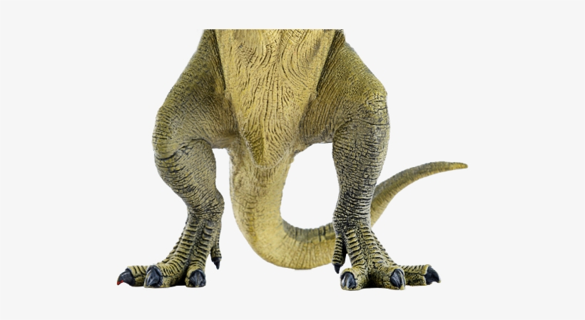 Dinosaur Legs Png, transparent png download