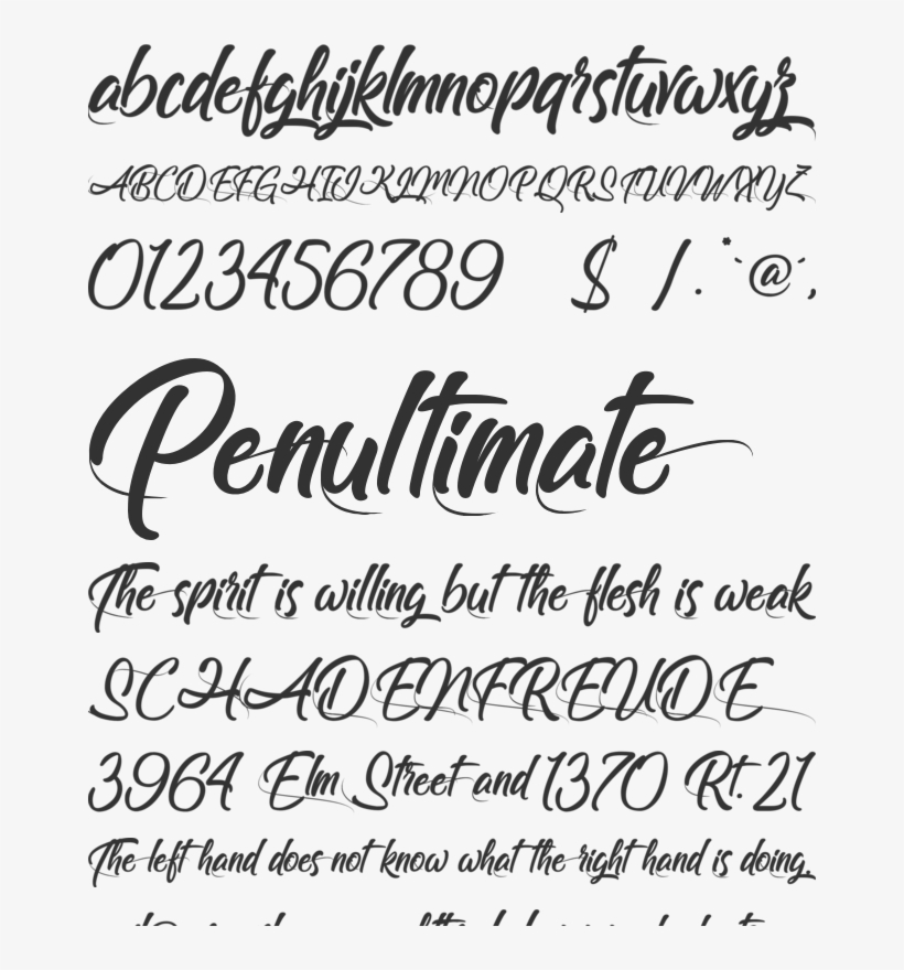 Follow Me Font Preview - Calligraphy, transparent png download