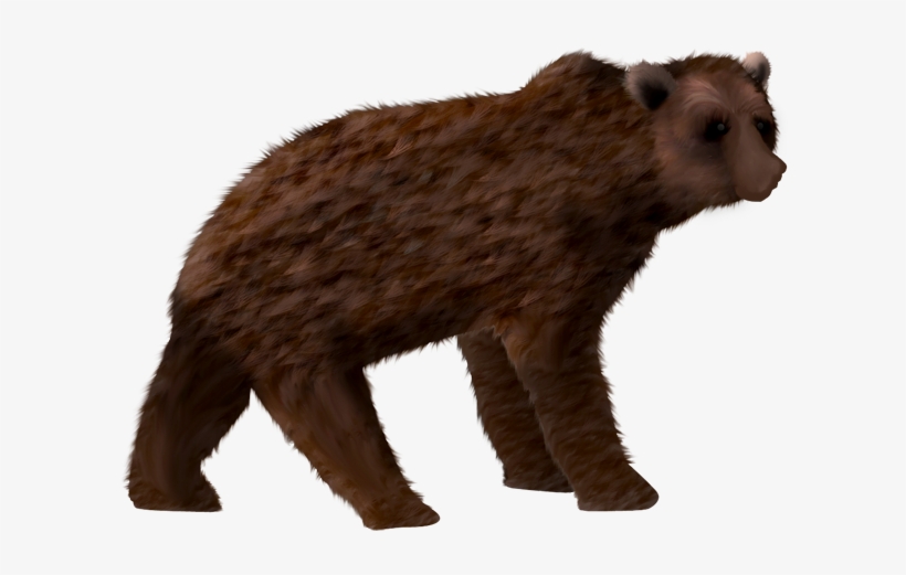 Oso - Grizzly Bear, transparent png download