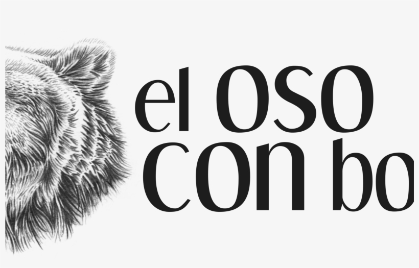Koala, transparent png download