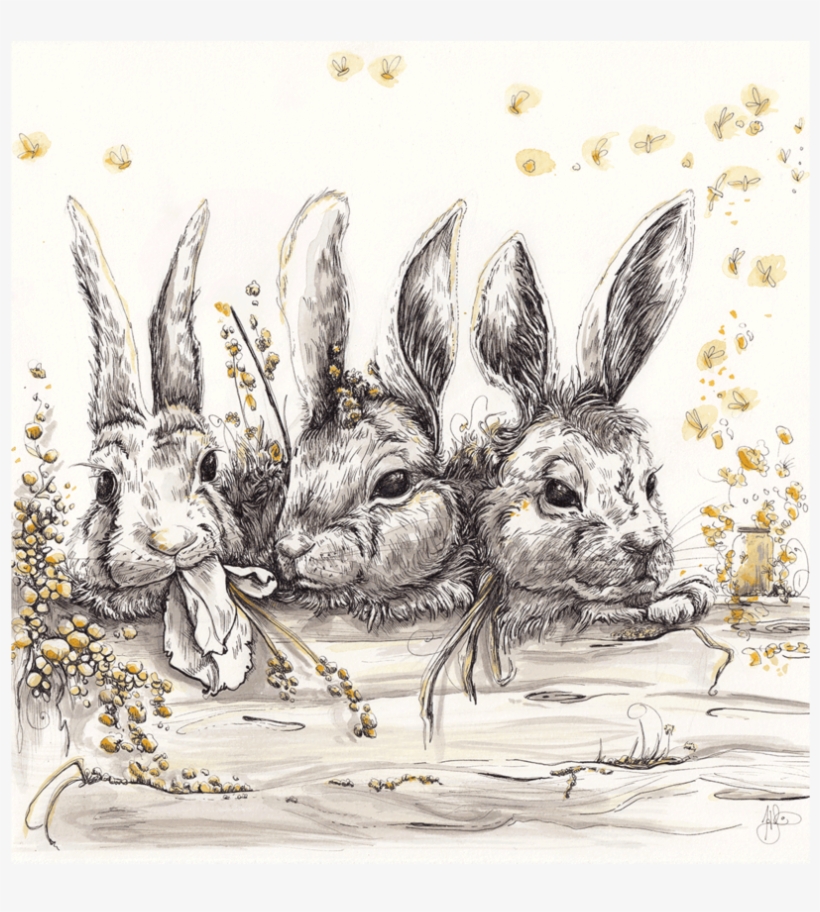 Revive - Domestic Rabbit, transparent png download