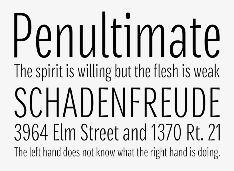 Densia Sans Font Phrases - Open Sans Condensed Font, transparent png download