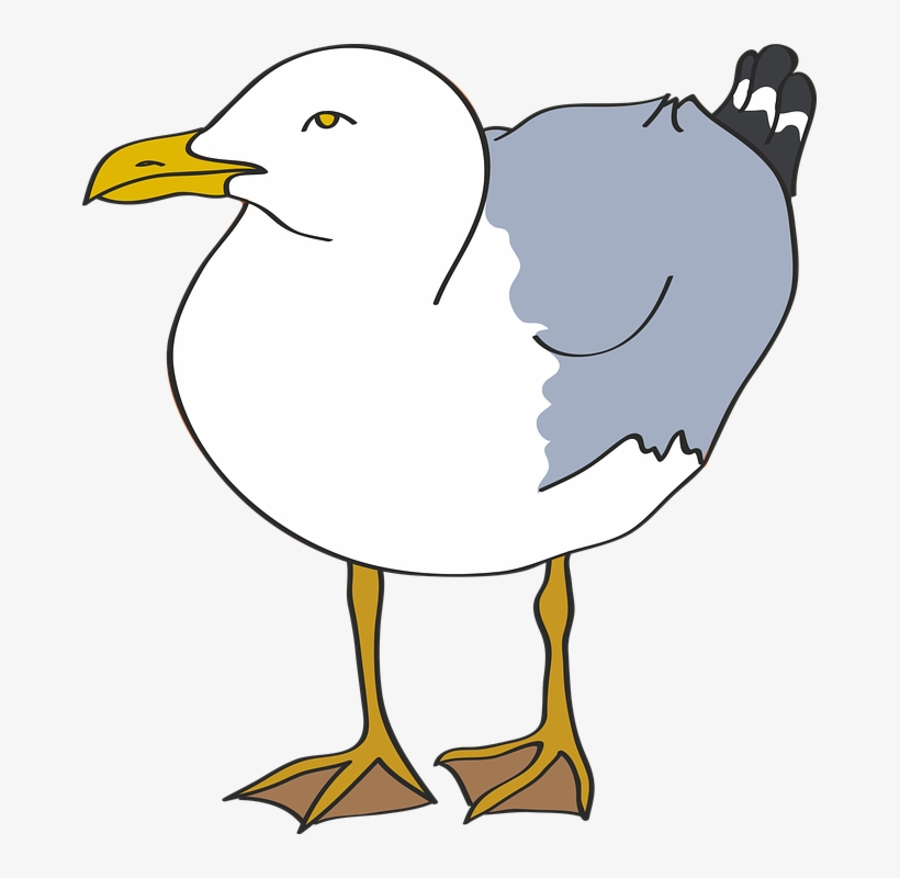 Seagull, Bird, Beach, Sea, Laridae, Coast, Vector - Cartoon Seagulls, transparent png download