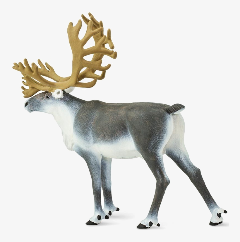 Buy Action Figure Safari Caribou 182229 Elkor - Reindeer, transparent png download
