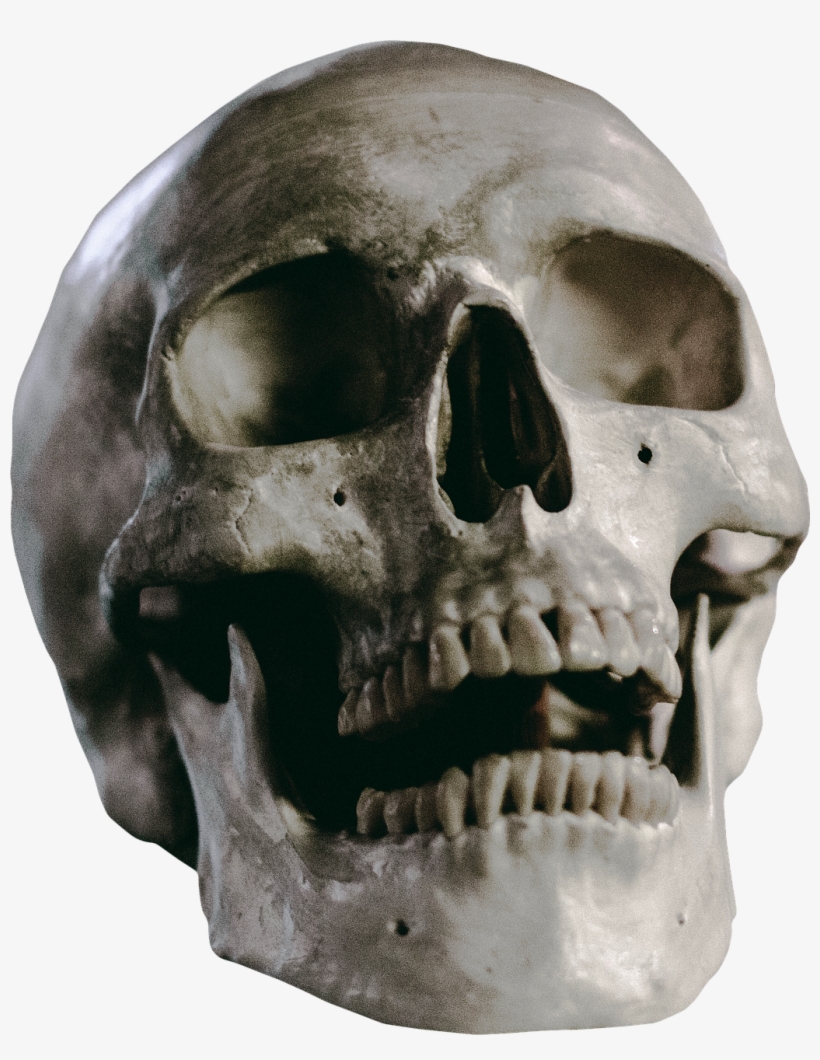 Hurricane Michael Skull, transparent png download